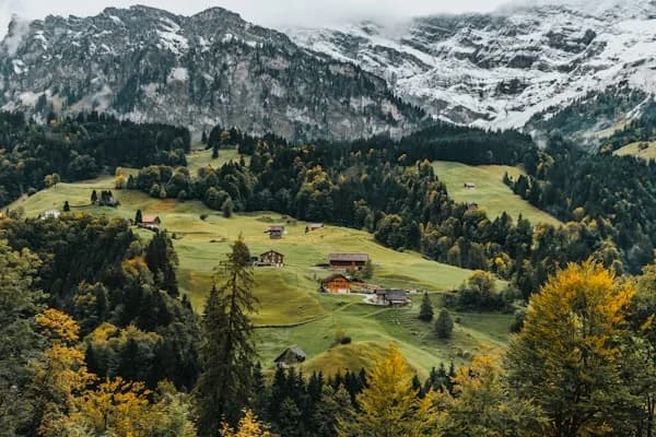 Kashmir Meadows